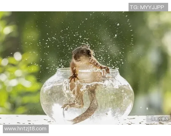 大官松鼠与群马温泉的奇妙邂逅探秘之旅 大官松鼠与群马温泉的奇妙邂逅探秘之旅
